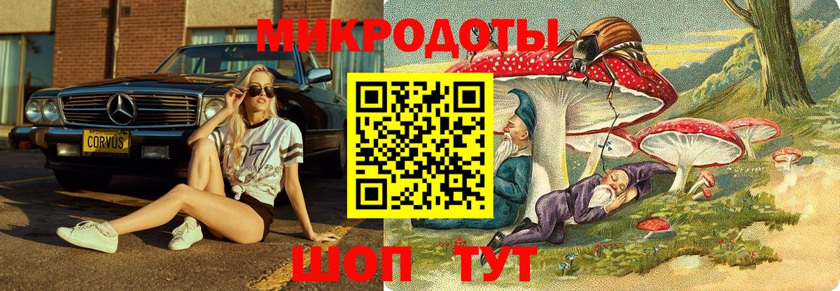Галлюциногенные грибы MAGIC MUSHROOMS  Галлюциногенные грибы Cubensis  Вход с VPN  Звенигород 