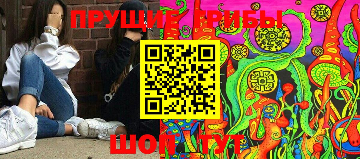 Галлюциногенные грибы Magic Shrooms Звенигород